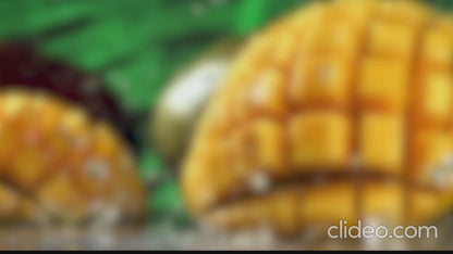 Bonifacia - Presentación Lata